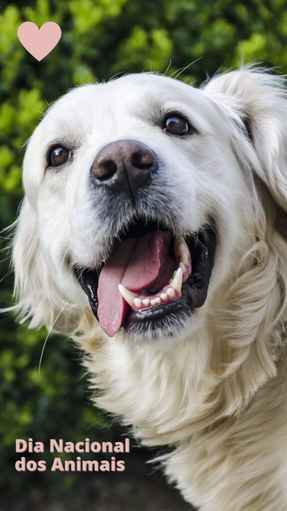 Customer_Review_PetsLee Customer_Review_PetsLee